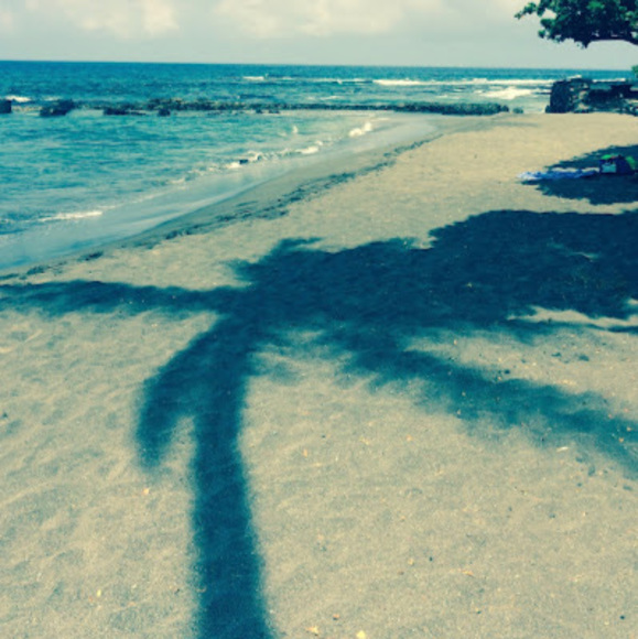 Meet your Posher, Alisha - Picture 1 of 1